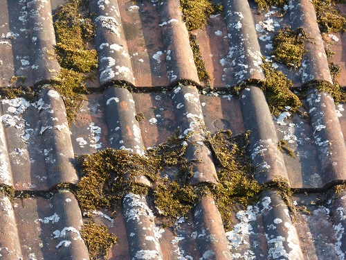 English roof