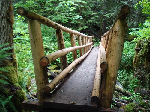 Redwoods bridge