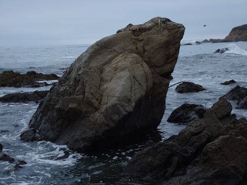 Cambria whale rock